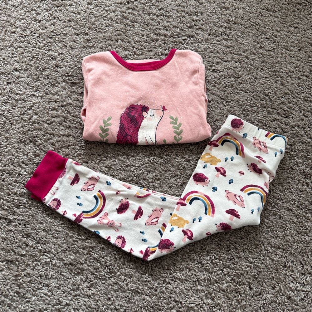Hedgehog PJ Set